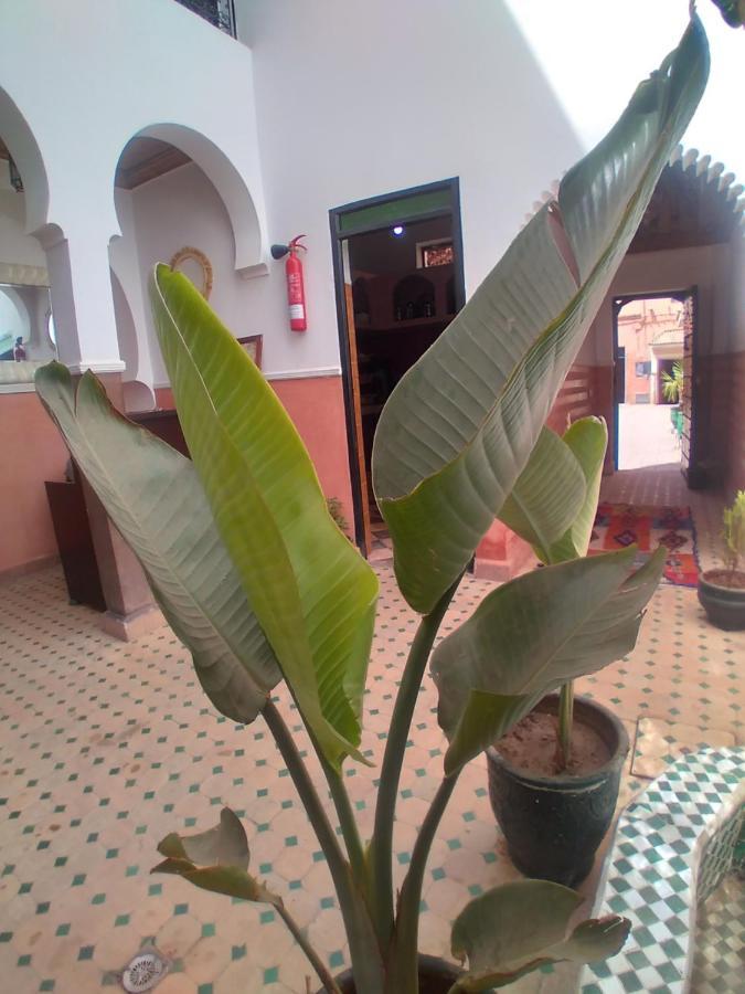 Riad 9 Derb El Bousnne มาร์ราเกช ภายนอก รูปภาพ